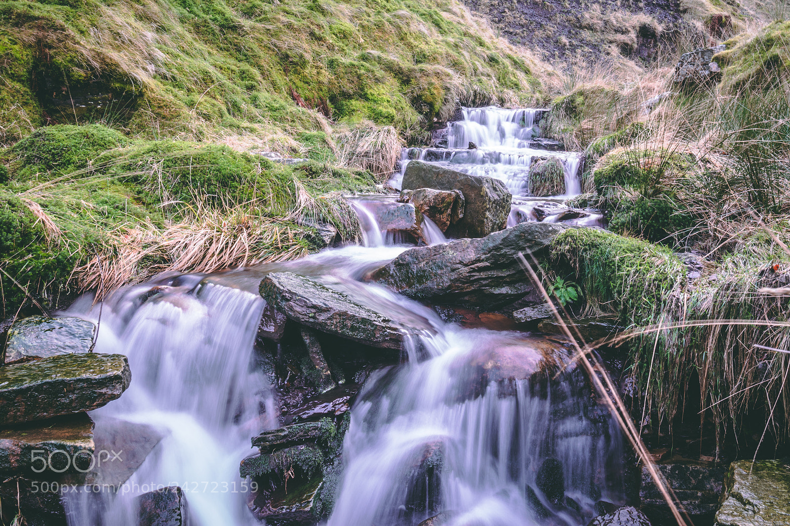 Nikon D5600 sample photo. Ratten clough waterfall photography