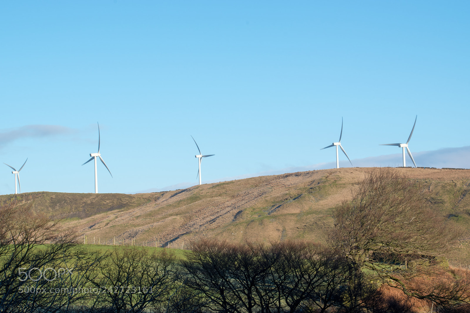 Nikon D5600 sample photo. Wind turbines on the photography