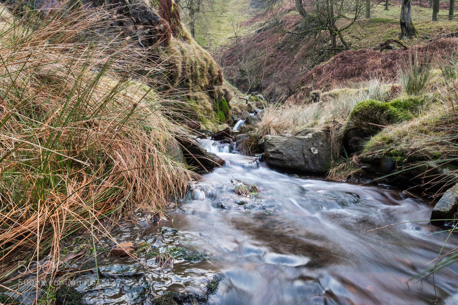Nikon D5600 sample photo. Ratten clough waterfall photography