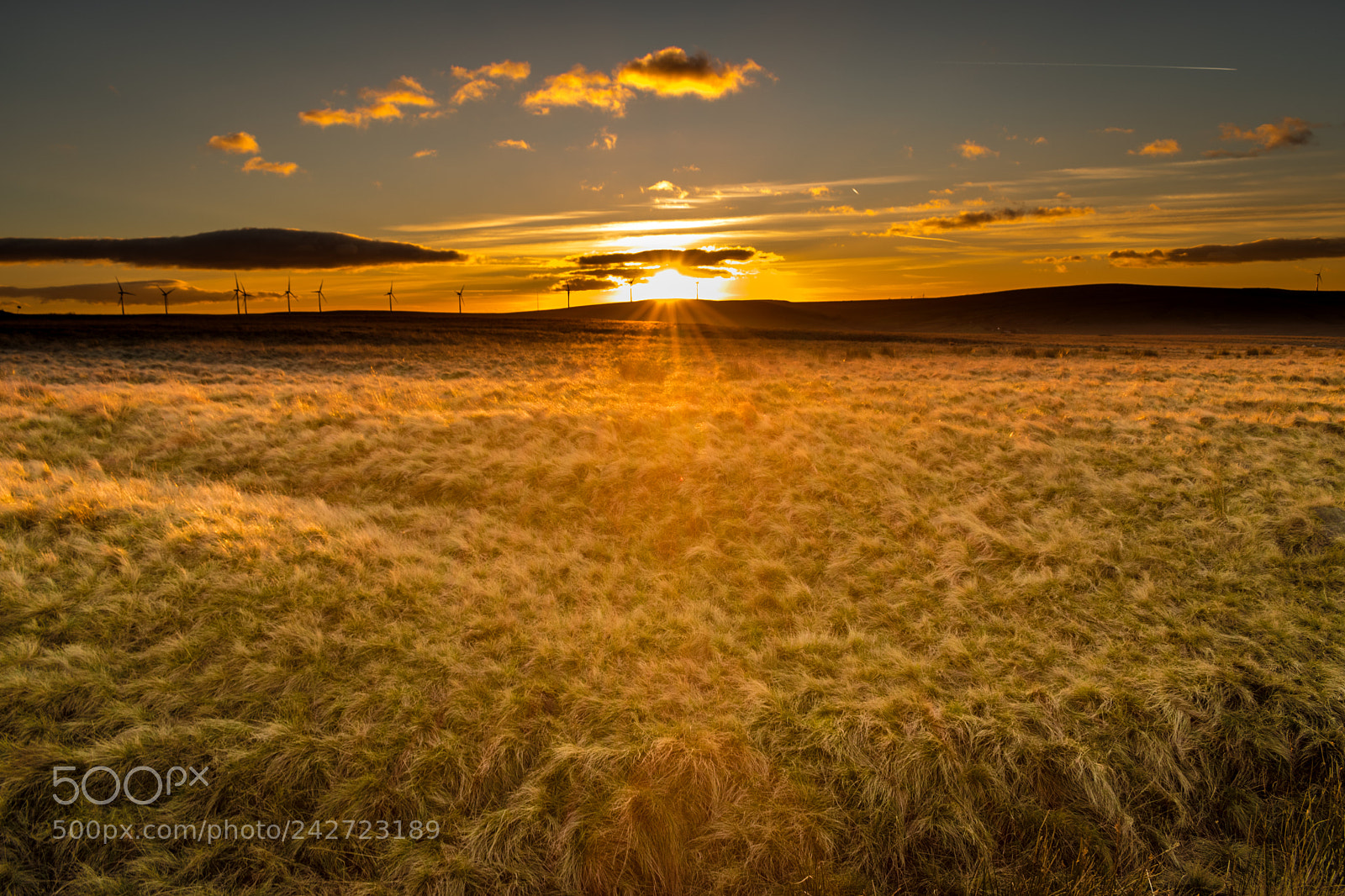 Nikon D5600 sample photo. Sunset in the valley photography