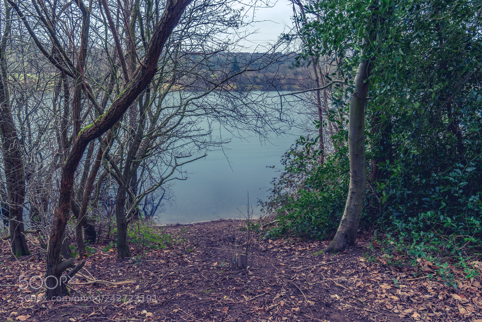 Nikon D5600 sample photo. Path to the marina photography