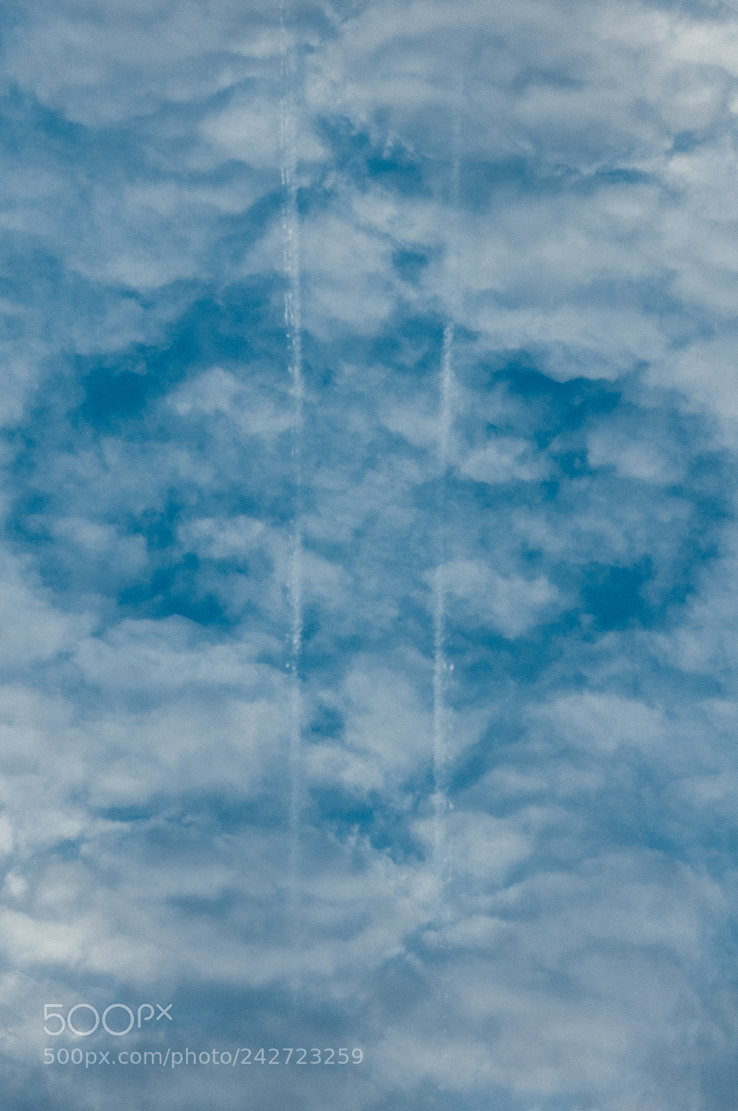 Nikon D300 sample photo. 1-2424.jpg photography