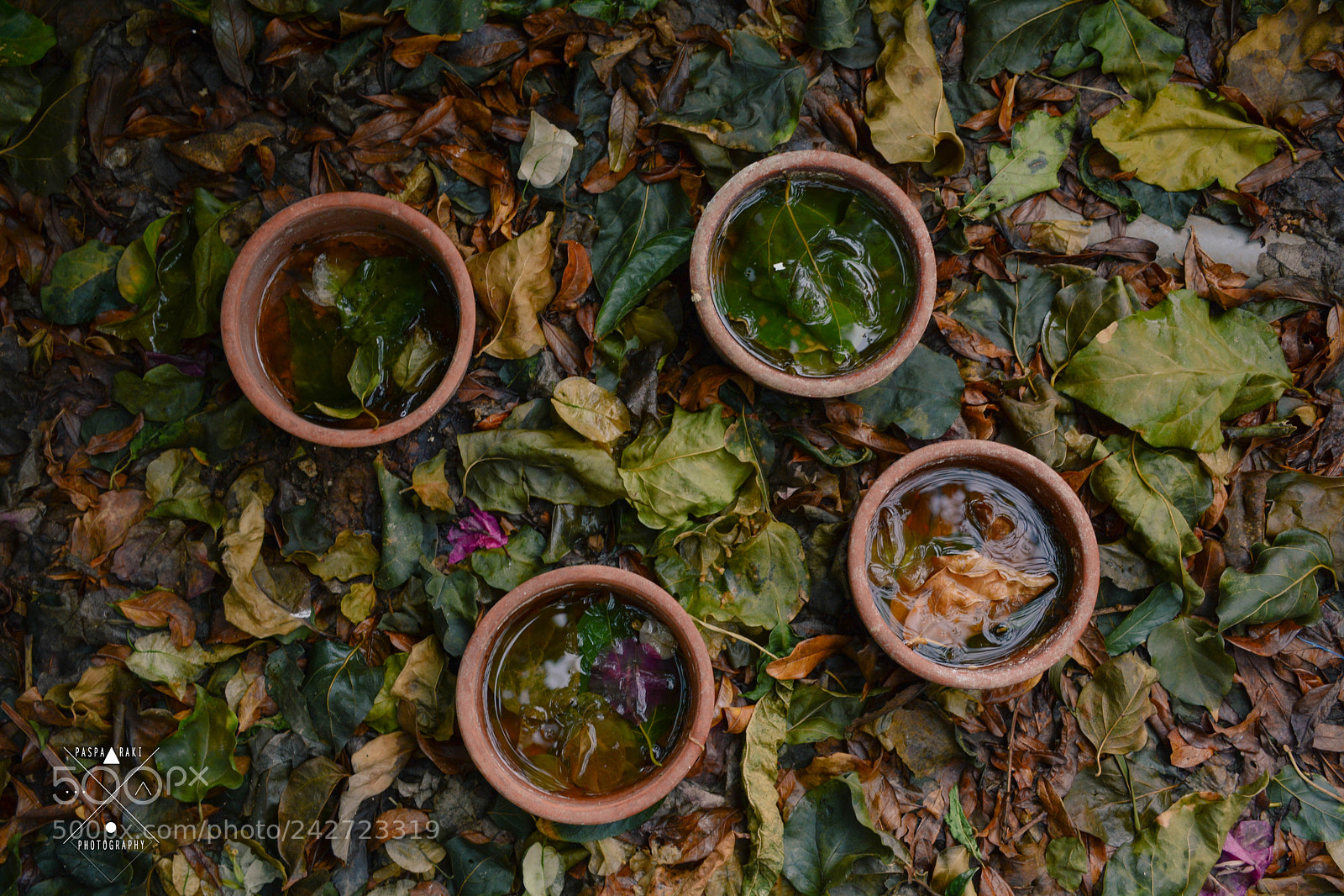 Nikon D7100 sample photo. Rotten photography
