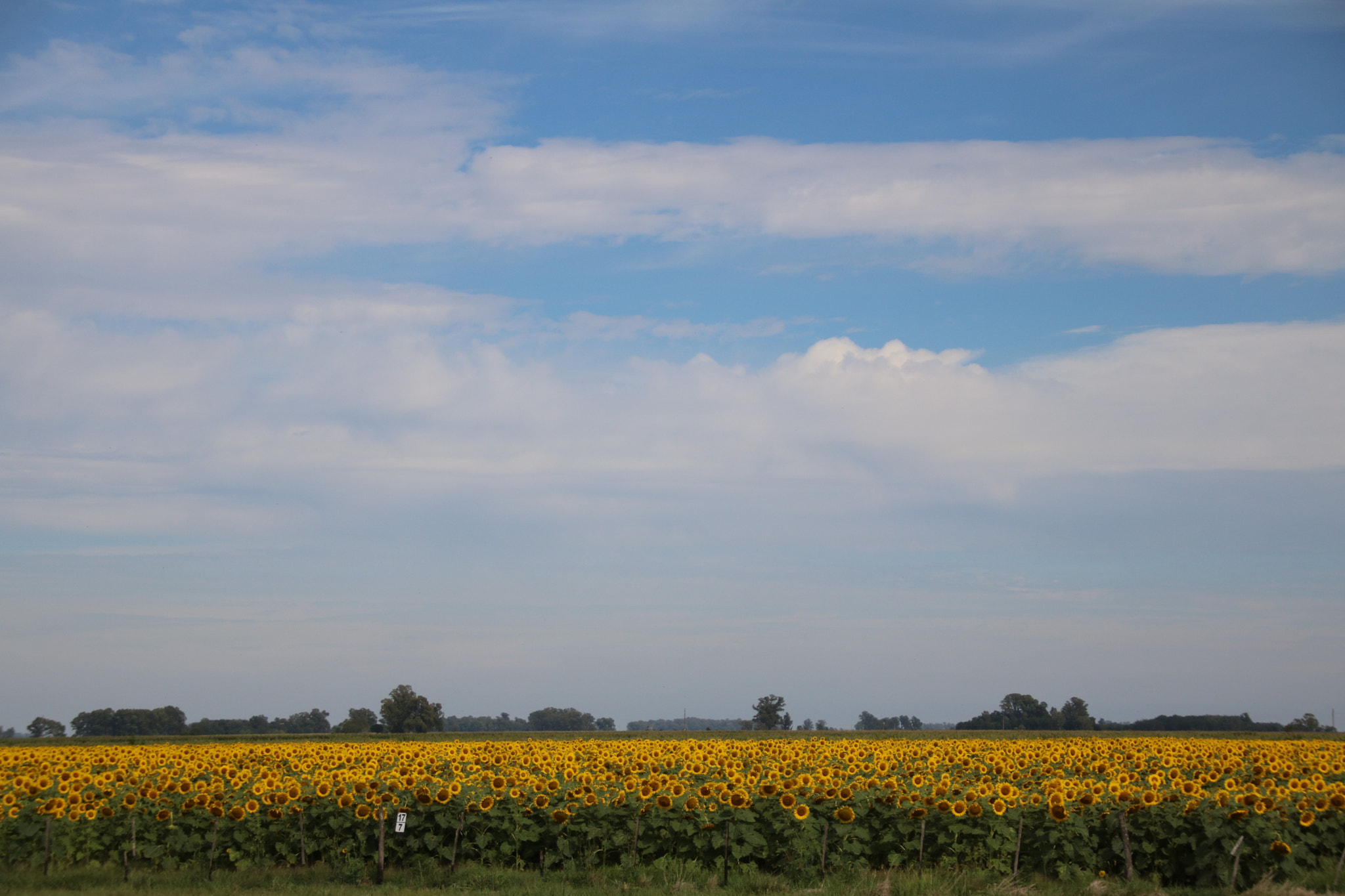 Sigma 18-200mm f/3.5-6.3 DC OS sample photo