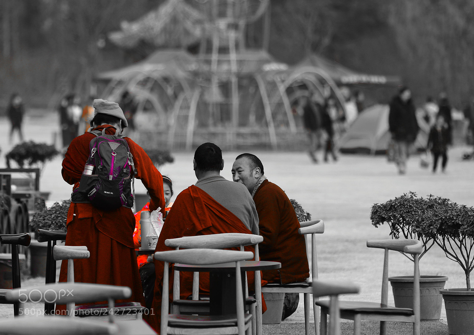 Canon EOS 7D Mark II sample photo. Untitled photography