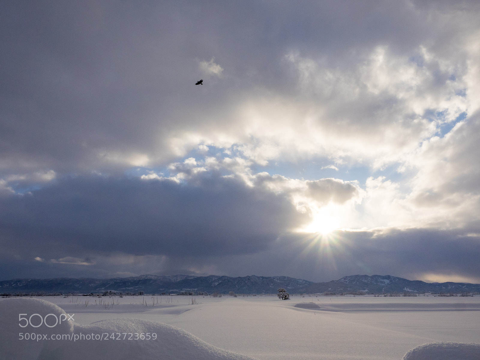 Olympus OM-D E-M1 sample photo. Winter sunrise photography