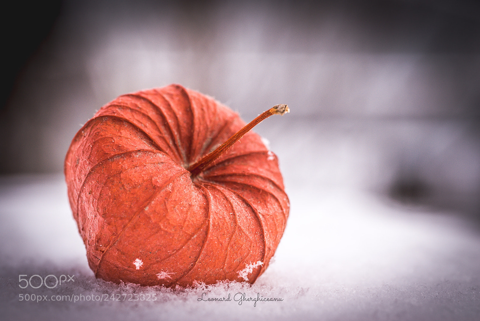 Nikon D200 sample photo. ***** photography