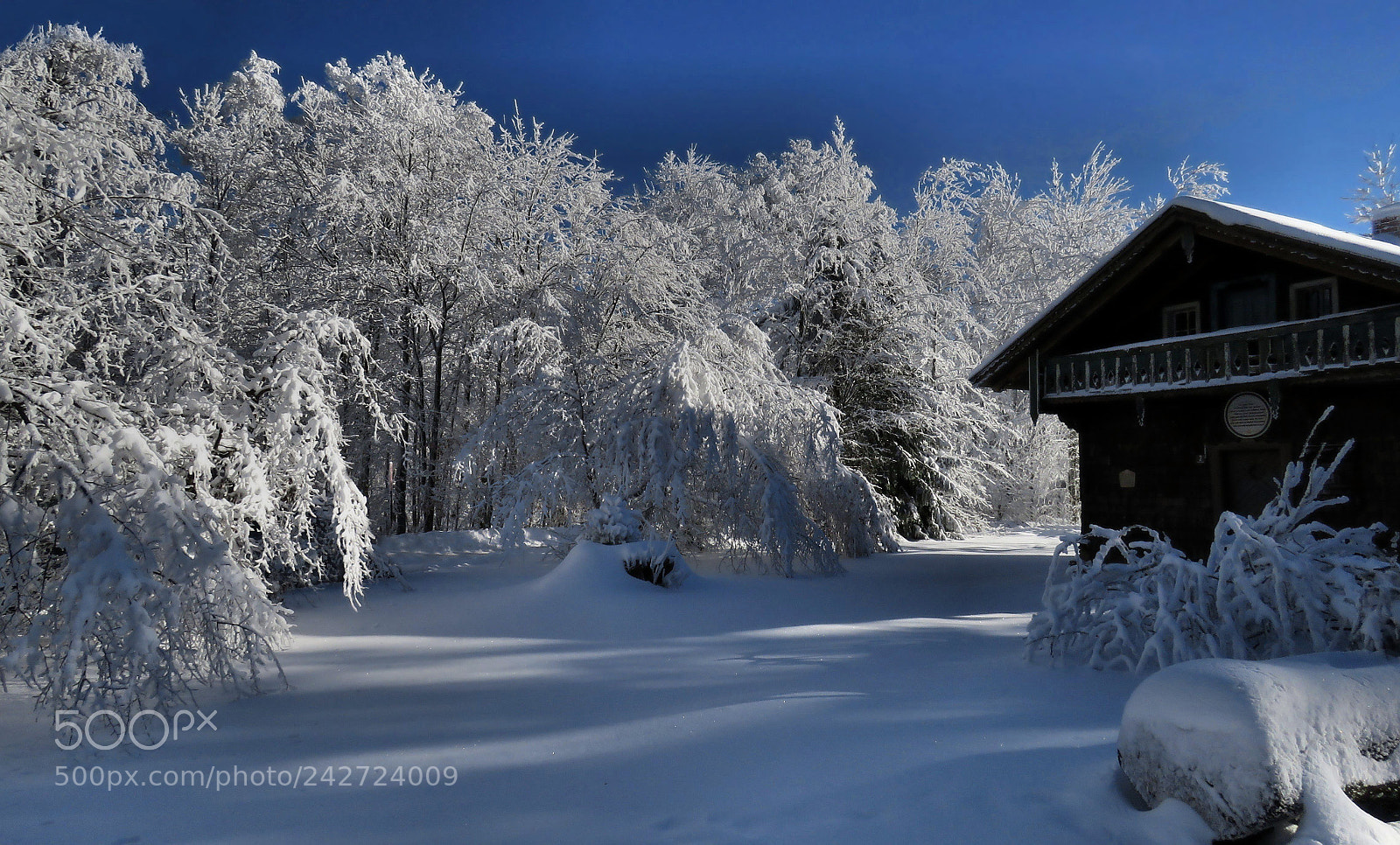 Canon PowerShot SX60 HS sample photo. Winter auf dem hohen photography