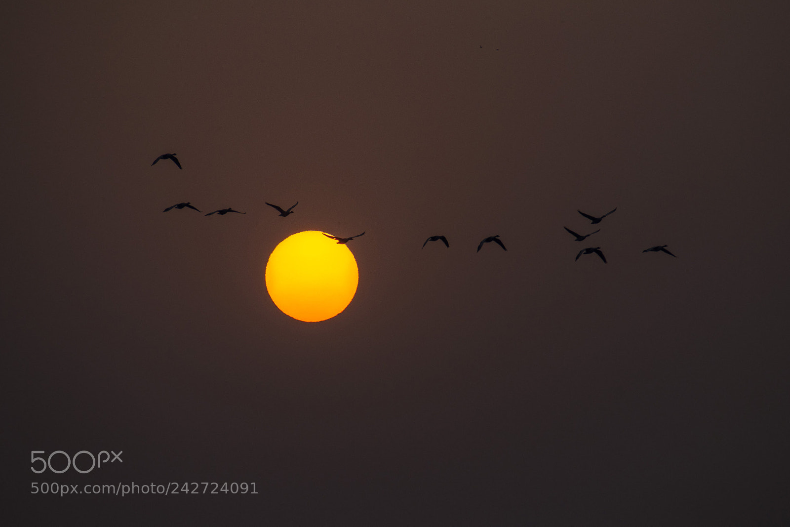 Nikon D5600 sample photo. Beautiful crisp sunrise photography