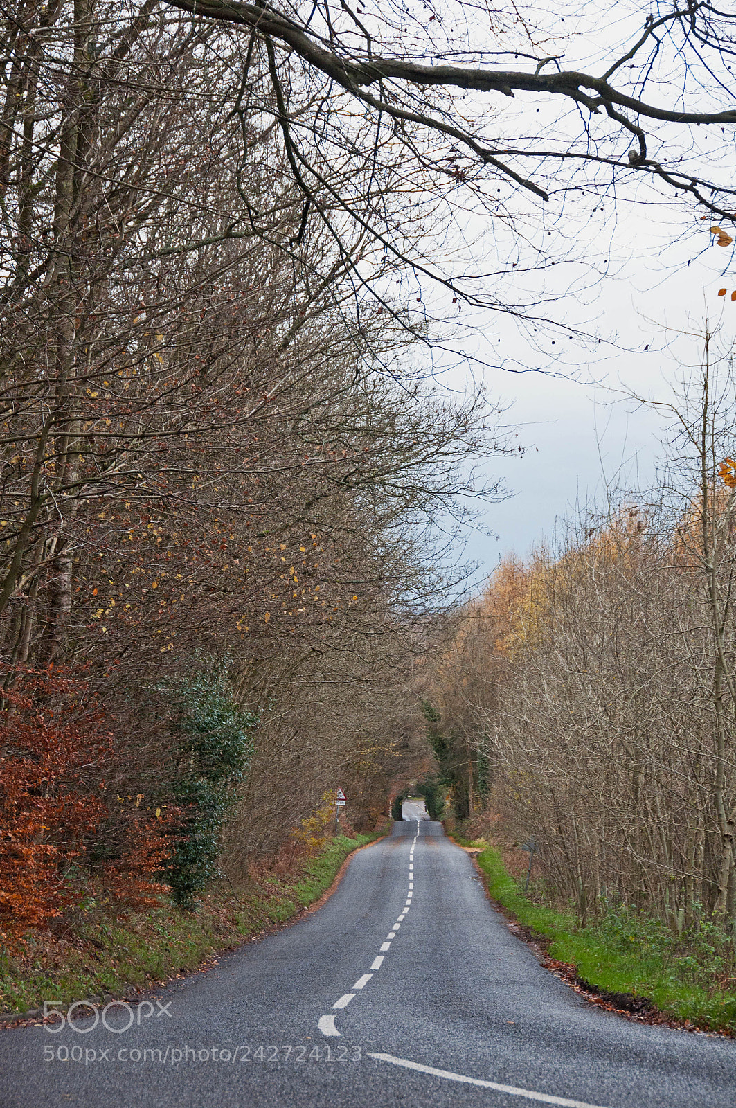 Nikon D90 sample photo. Roads to places photography