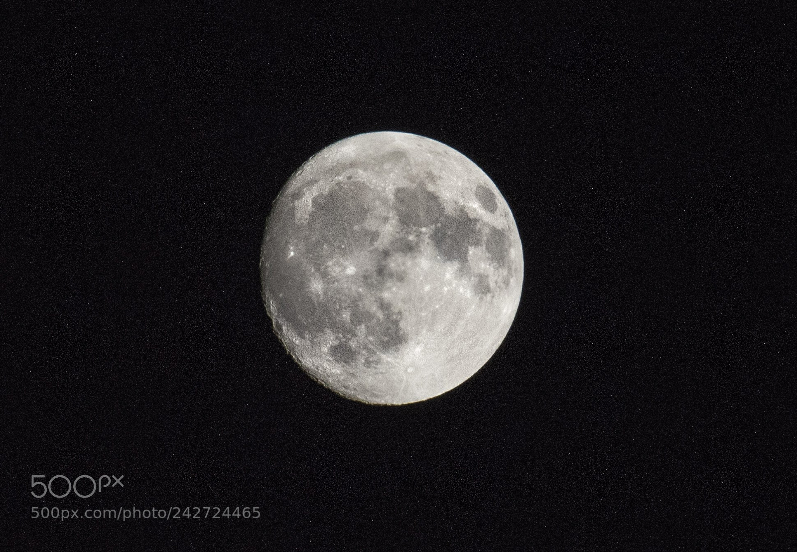 Nikon D5600 sample photo. Basic moonshot photography