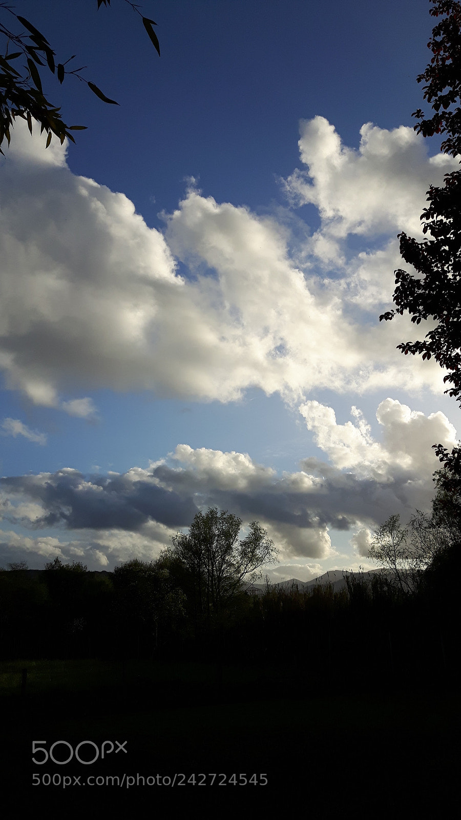 Samsung Galaxy S5 Neo sample photo. Nubes photography