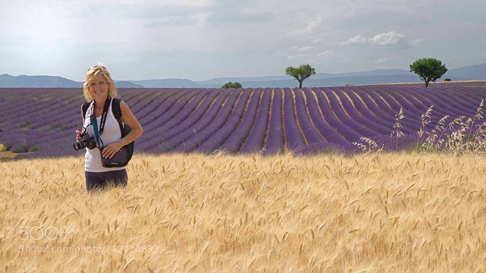 Pentax K-5 sample photo. Provence's fields photography
