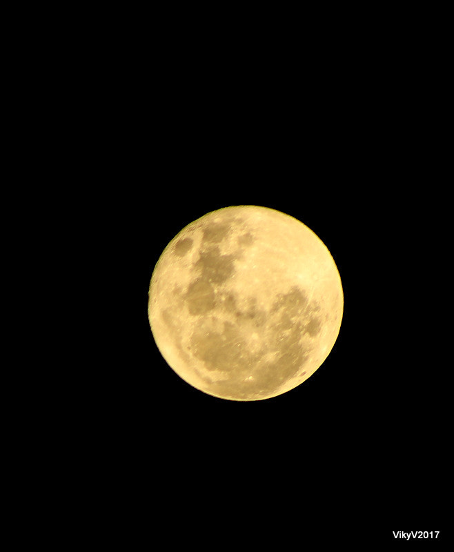 Canon EOS 1300D (EOS Rebel T6 / EOS Kiss X80) + EF75-300mm f/4-5.6 sample photo. Luna photography