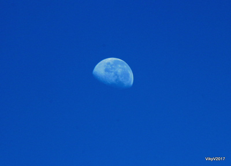 Canon EOS 1300D (EOS Rebel T6 / EOS Kiss X80) + EF75-300mm f/4-5.6 sample photo. Moon photography