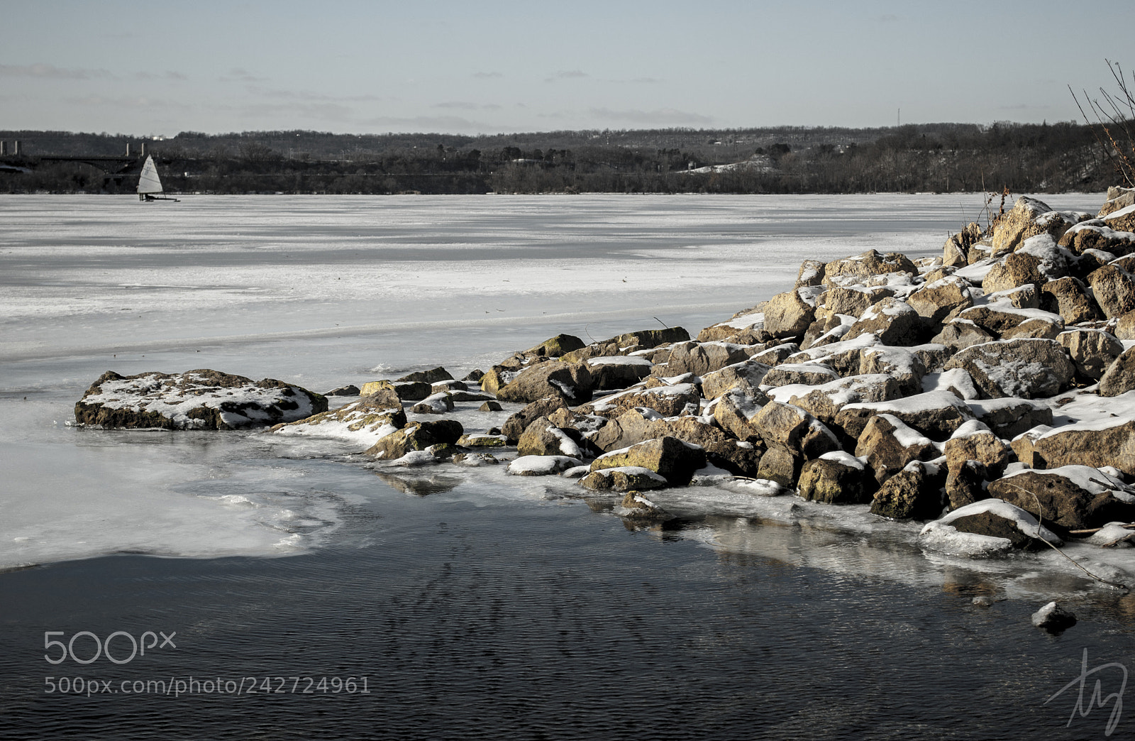 Nikon D60 sample photo. Water and ice, chicken photography