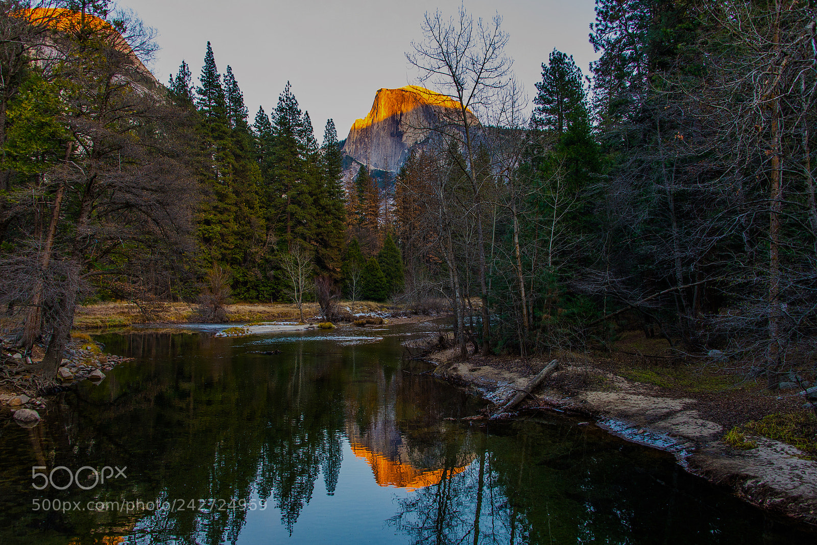 Nikon D600 sample photo. The proud of yosemite photography