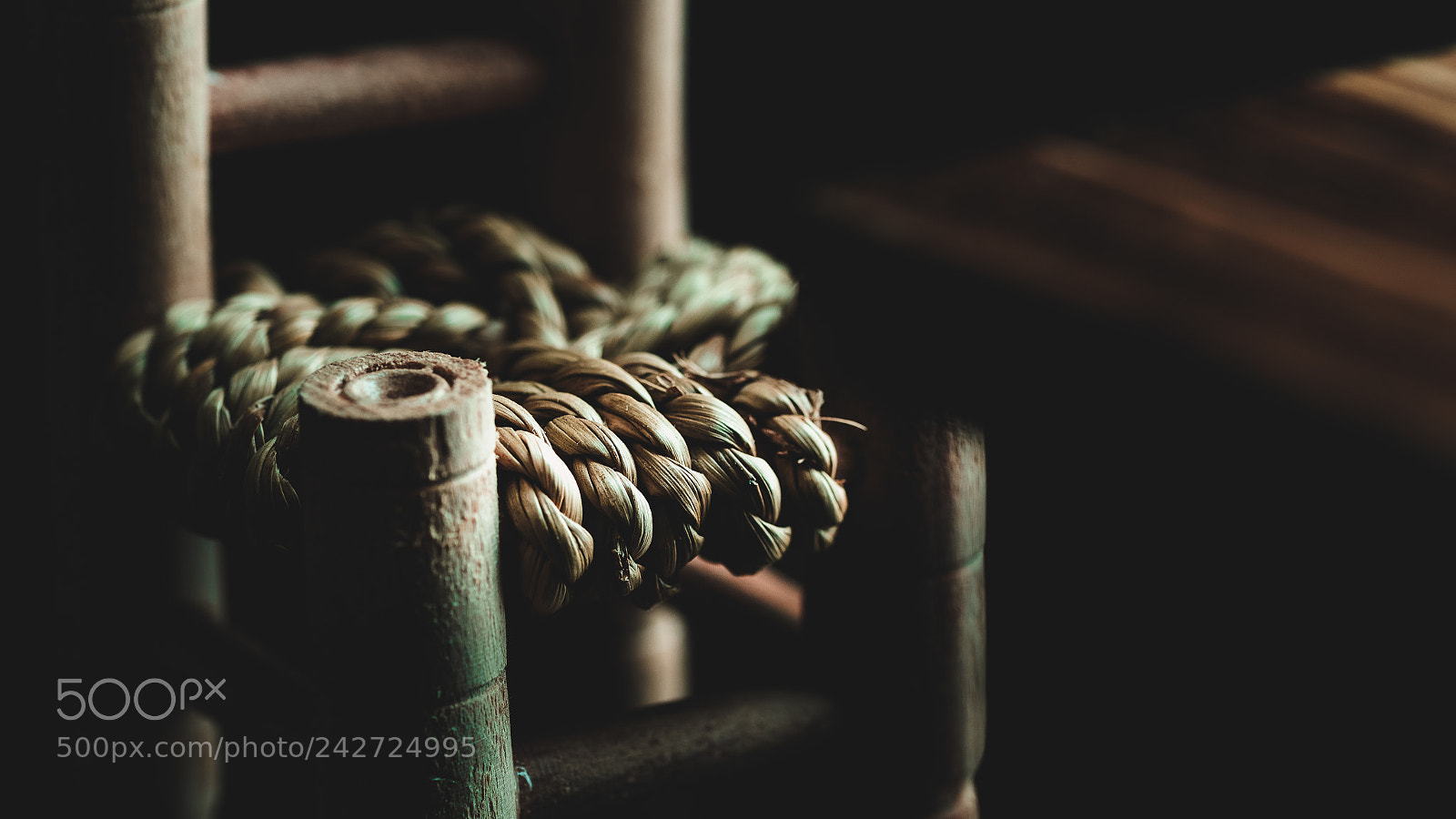 Canon EOS 6D Mark II sample photo. . photography