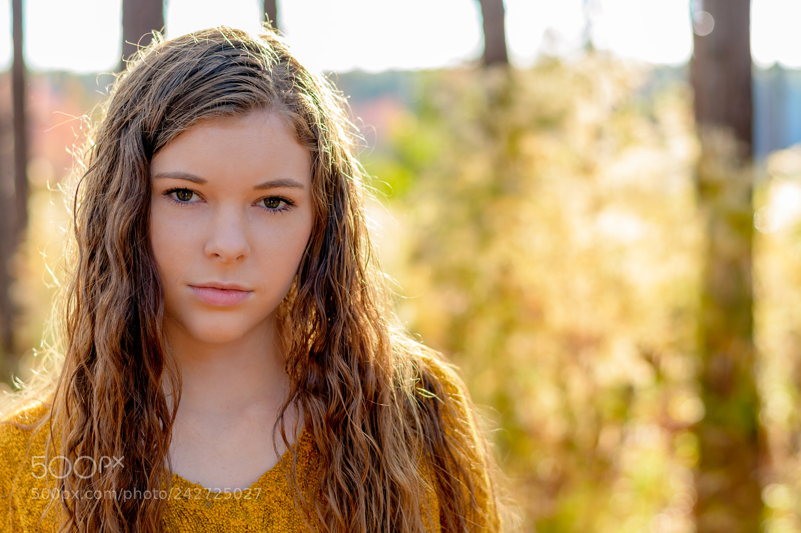 Nikon D500 sample photo. Kensley photography