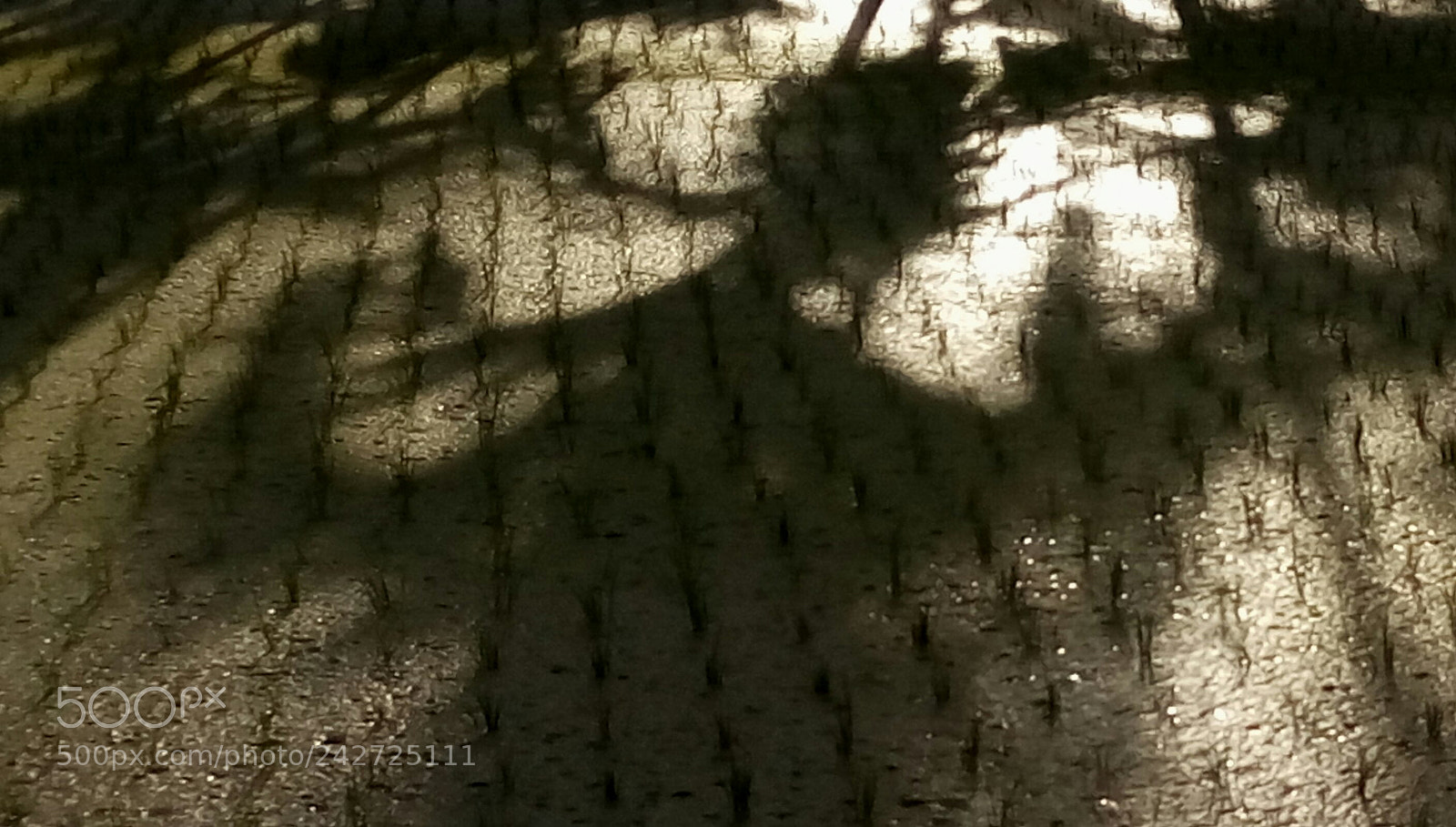 HTC D728X sample photo. Shadow play photography