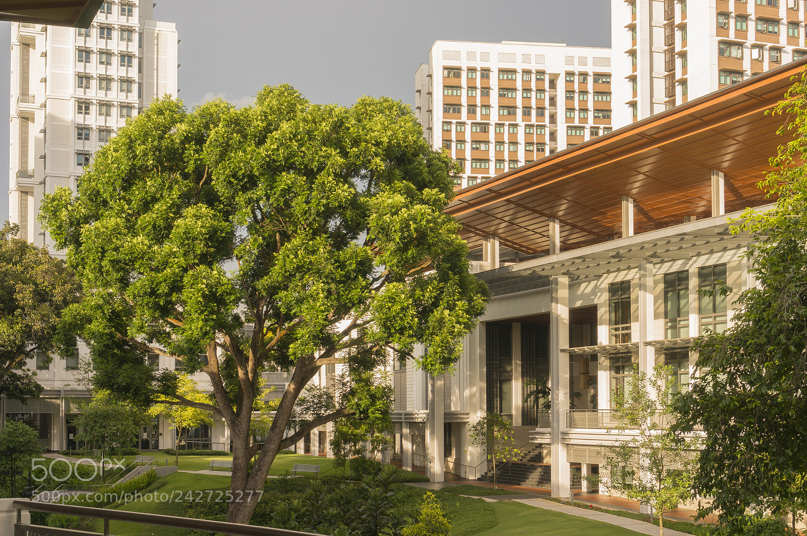 Sony Alpha NEX-6 sample photo. East core photography