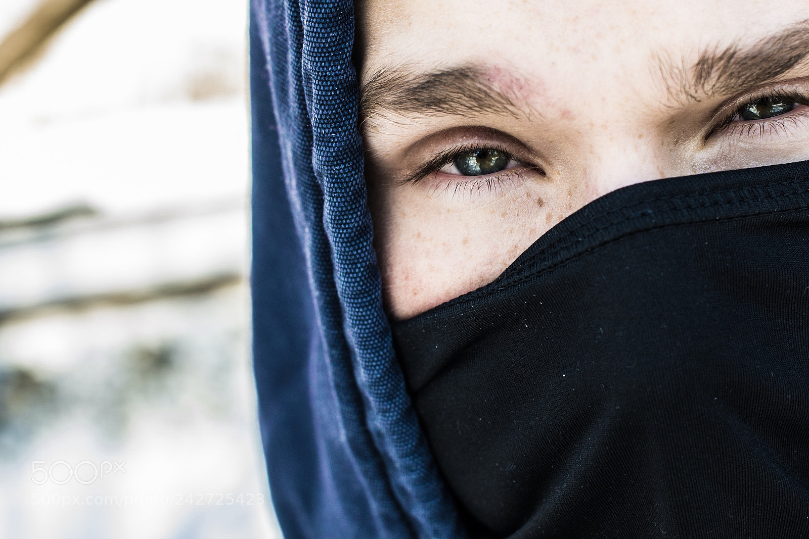 Nikon D500 sample photo. The cold survives photography