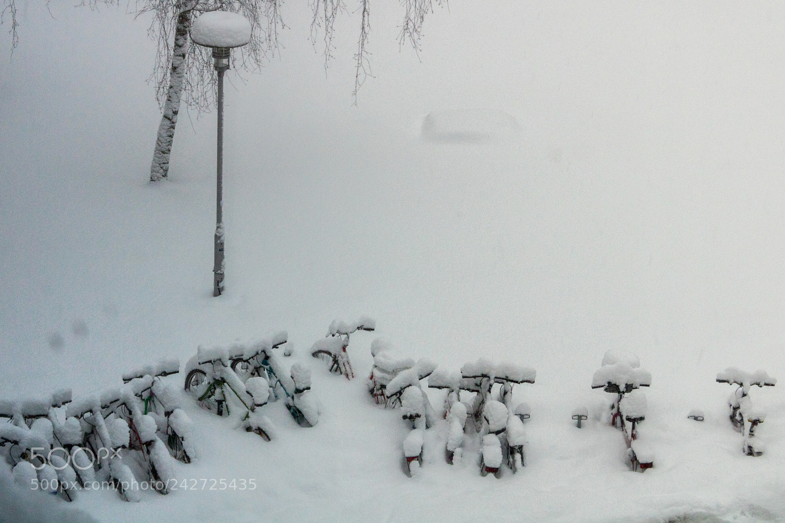 Canon EOS 750D (EOS Rebel T6i / EOS Kiss X8i) sample photo. More snow would leave photography