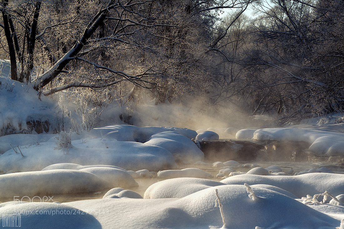 Nikon D800 sample photo. Real winter photography