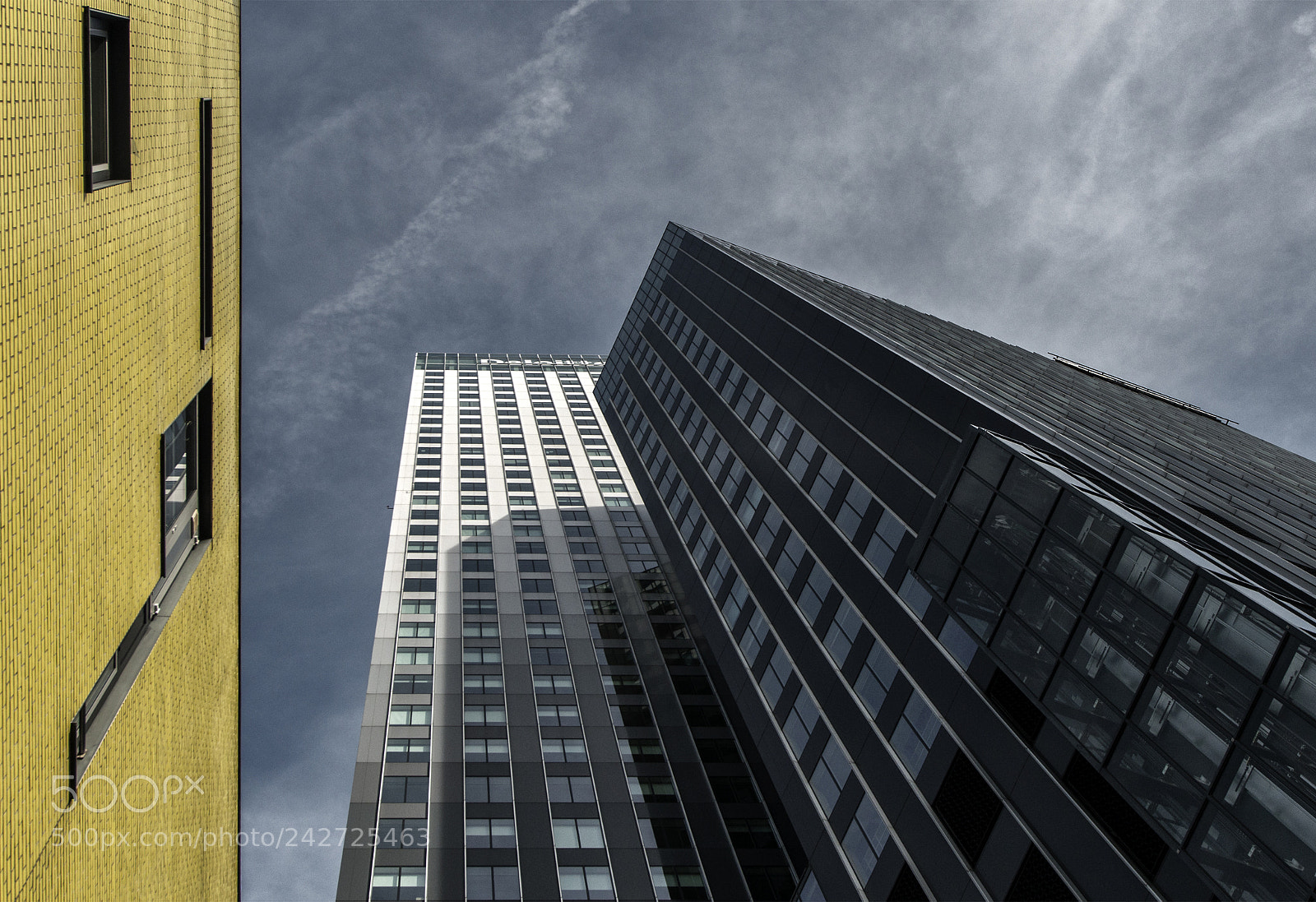 Nikon D800 sample photo. The yellow neighbor photography