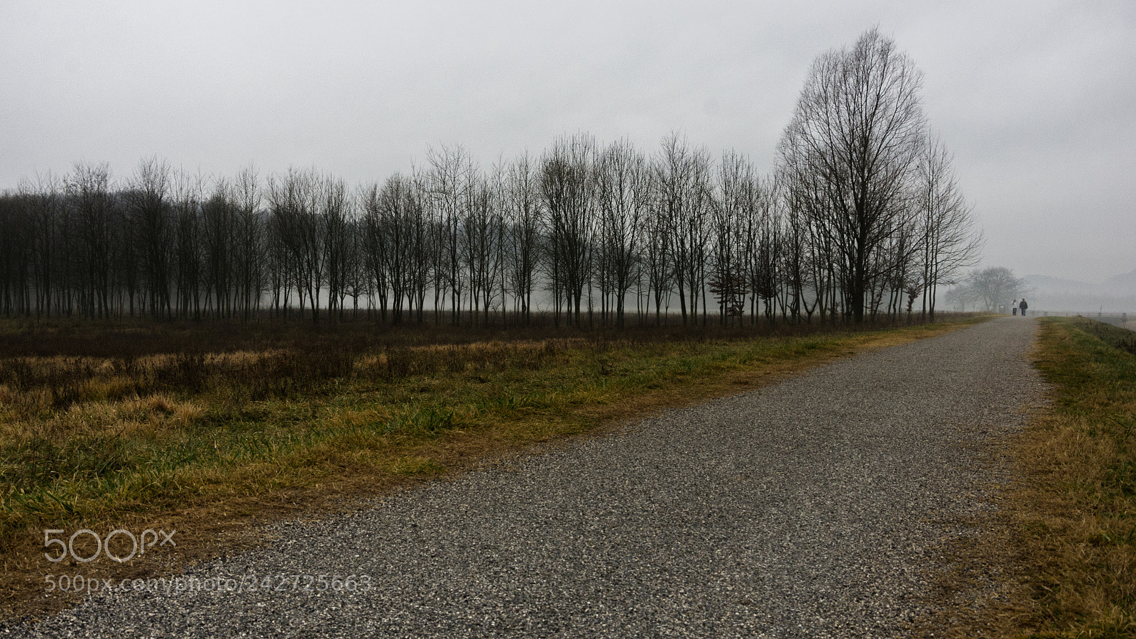 Pentax K-5 sample photo. The trip photography