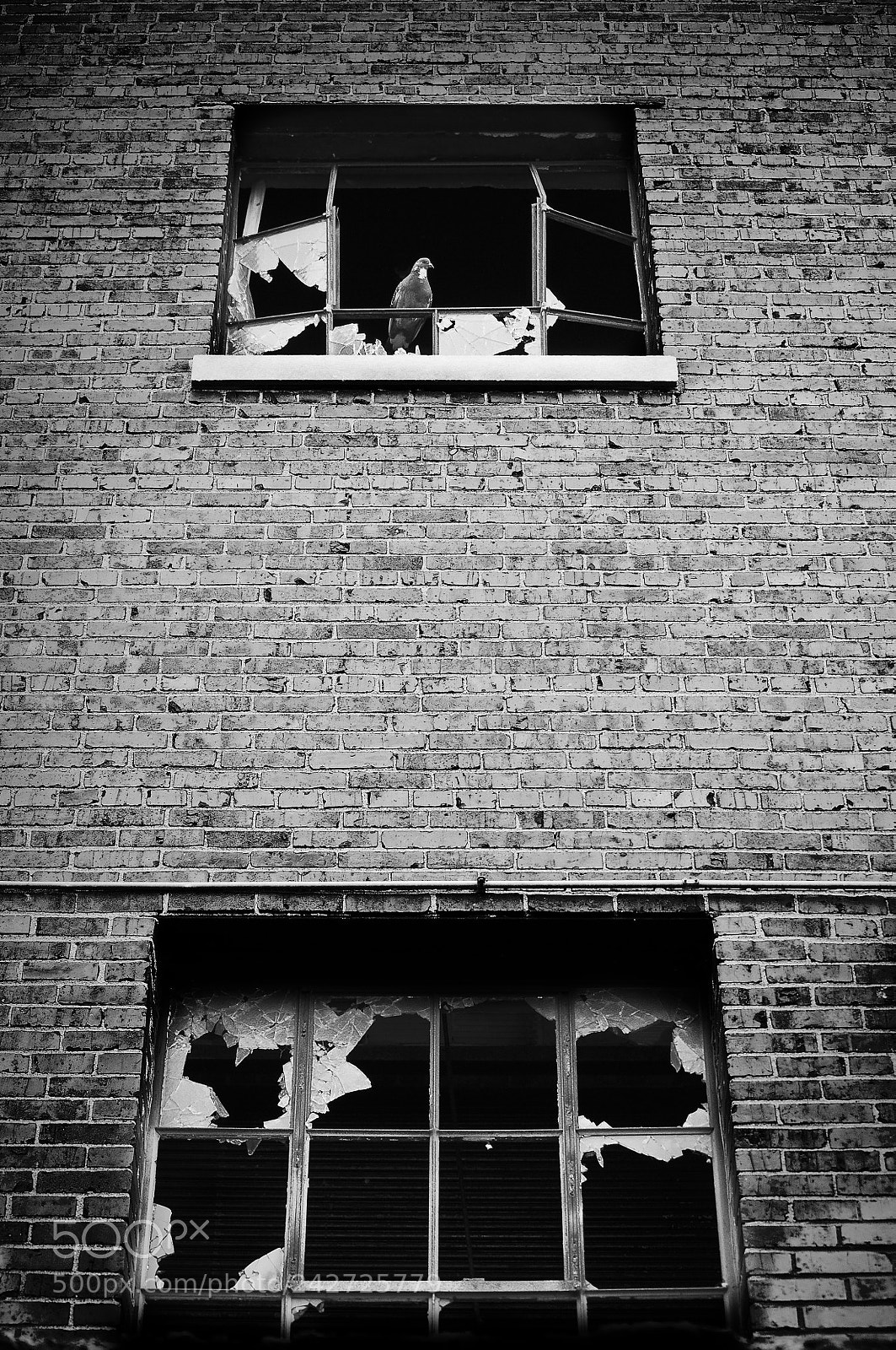 Nikon D5000 sample photo. Broken glass photography