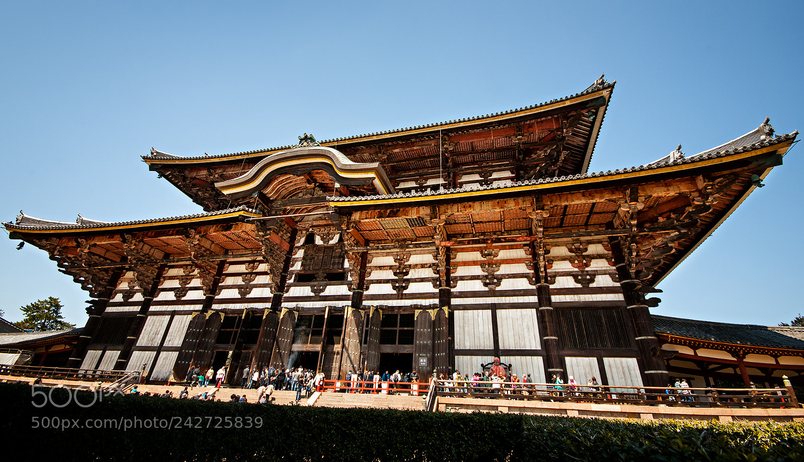 Nikon D300 sample photo. 東大寺 photography
