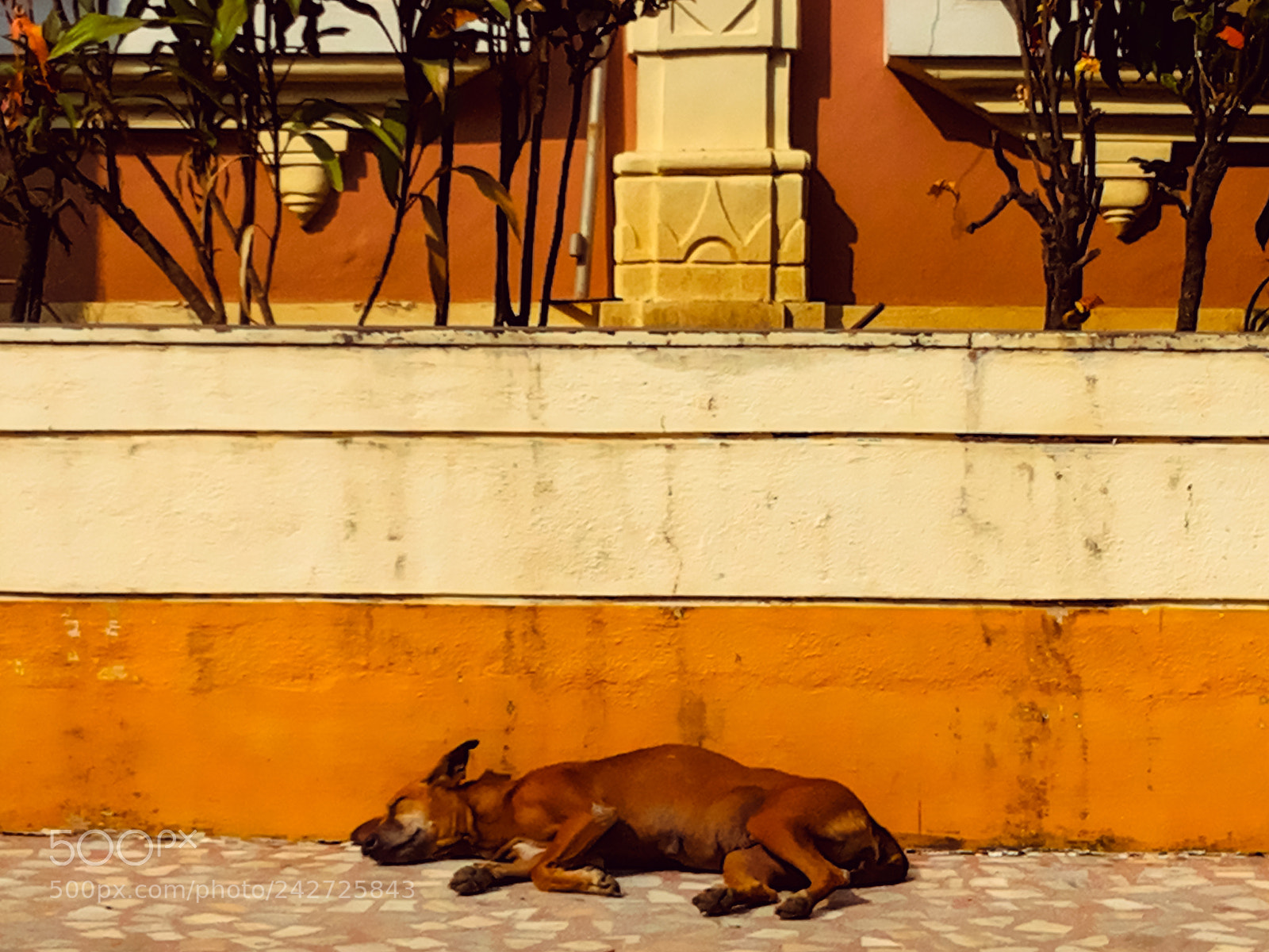 Samsung Galaxy Grand Duos sample photo. Winter mornings.jpg photography