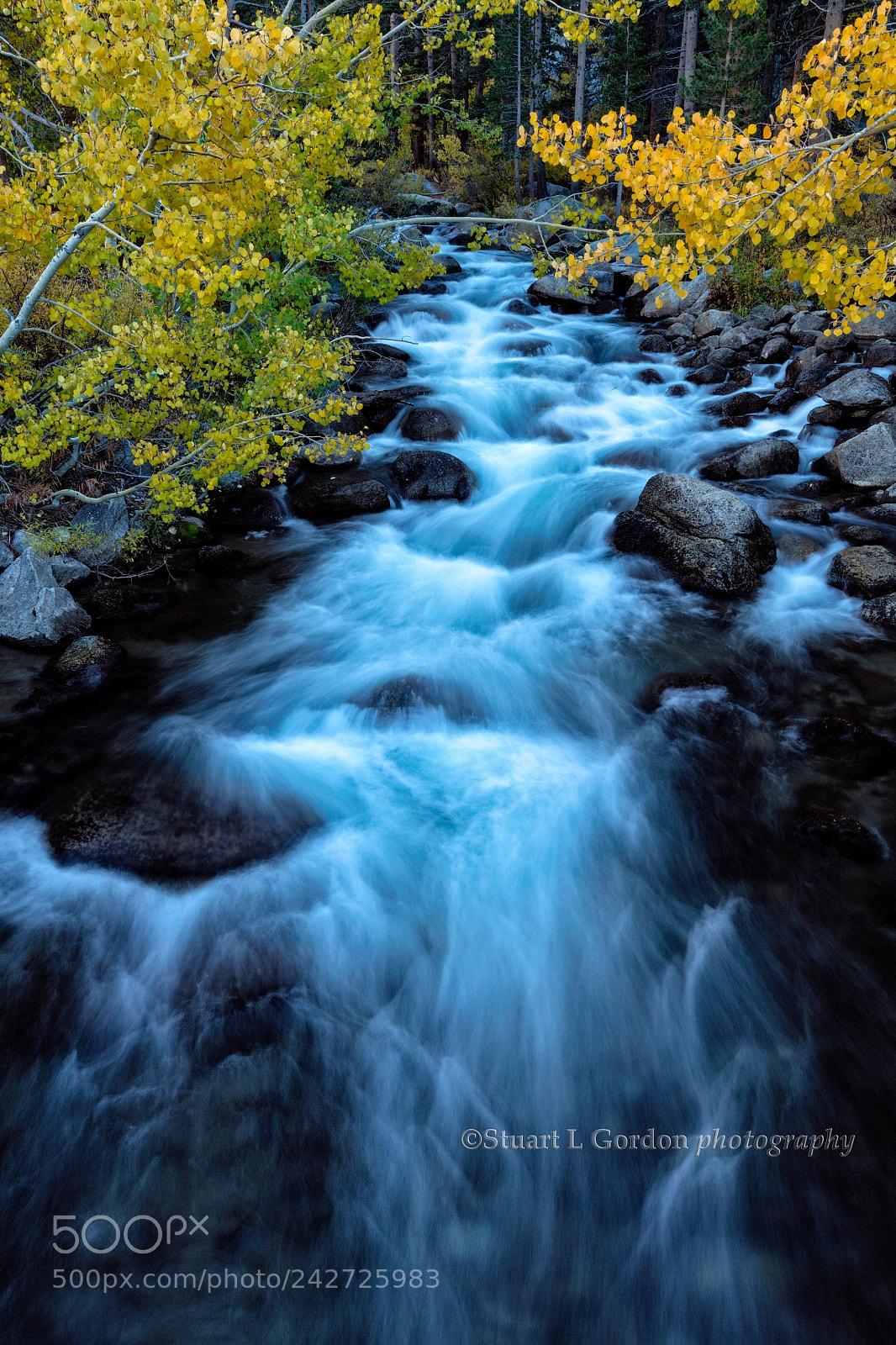 Canon EOS 5DS R sample photo. Autumn on bishop creek photography