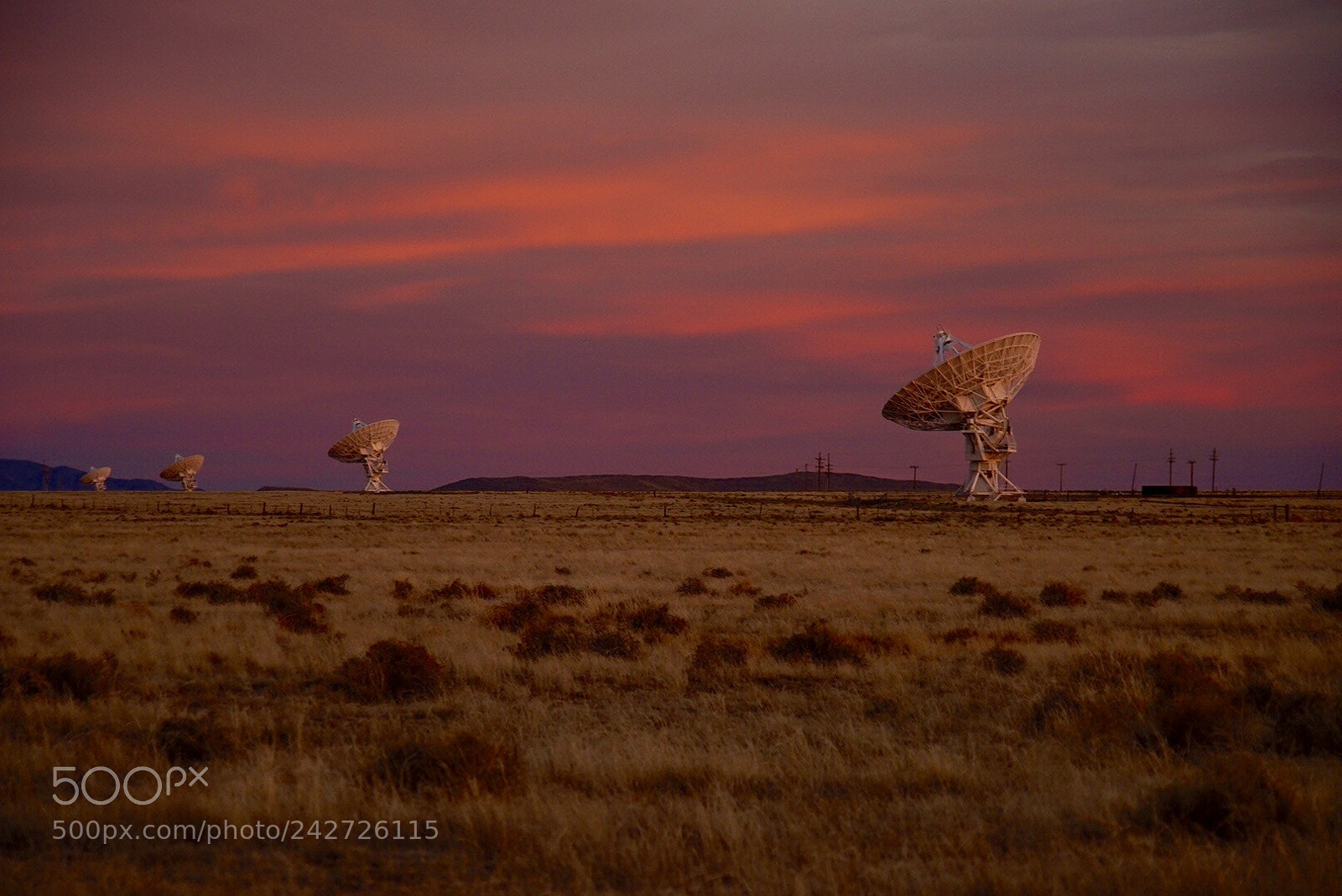 Sony a7 II sample photo. Vla photography
