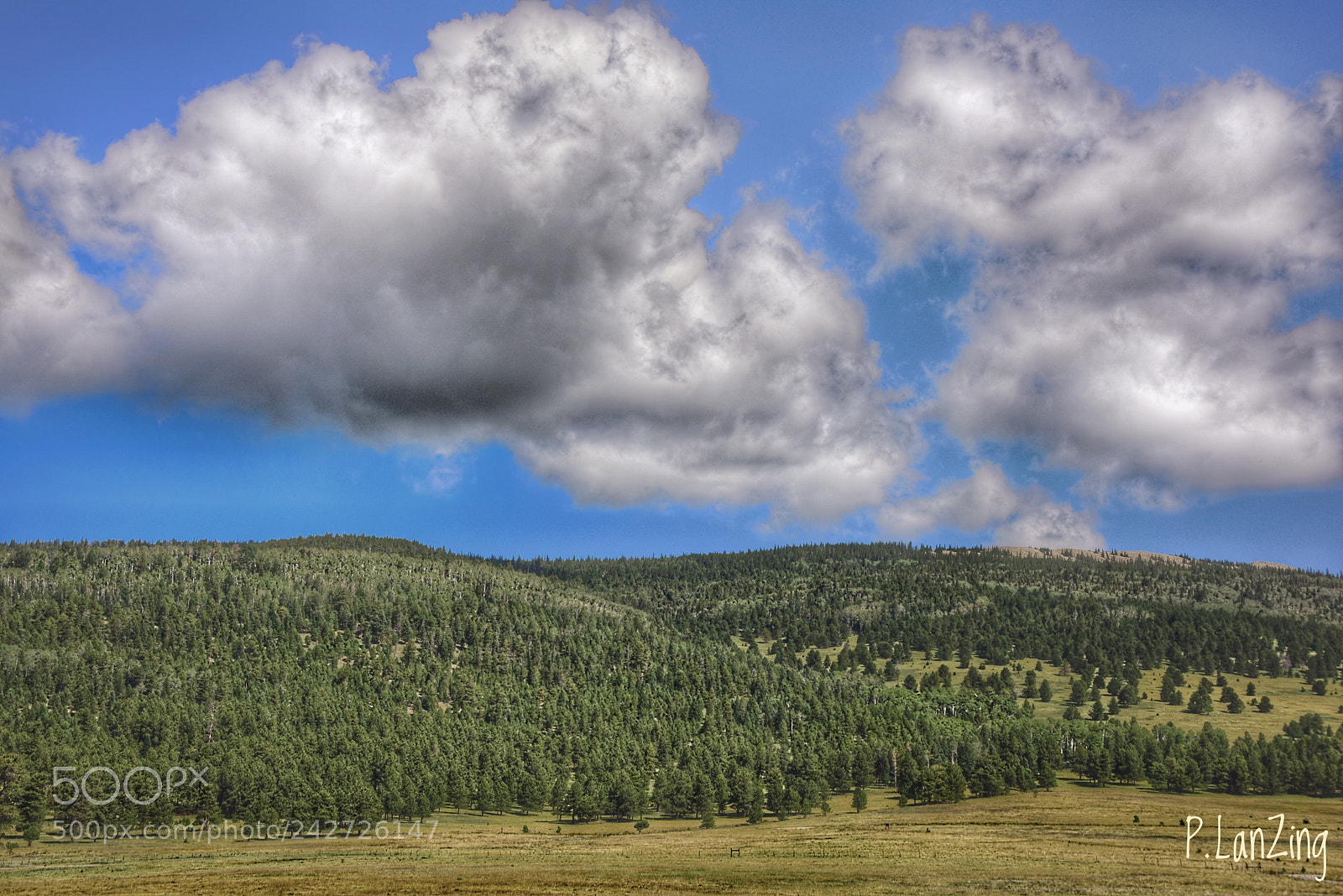 Nikon D810 sample photo. Valley of life, new photography