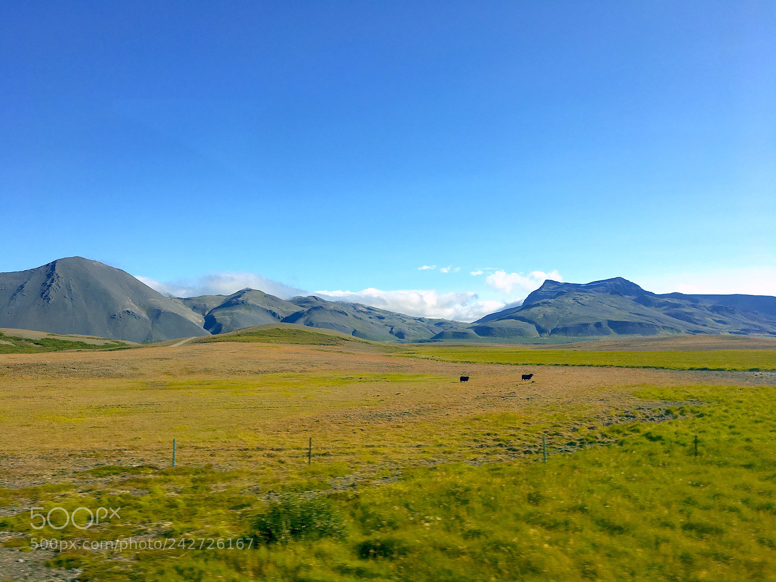 Apple iPhone 6s sample photo. The scenery -viii photography