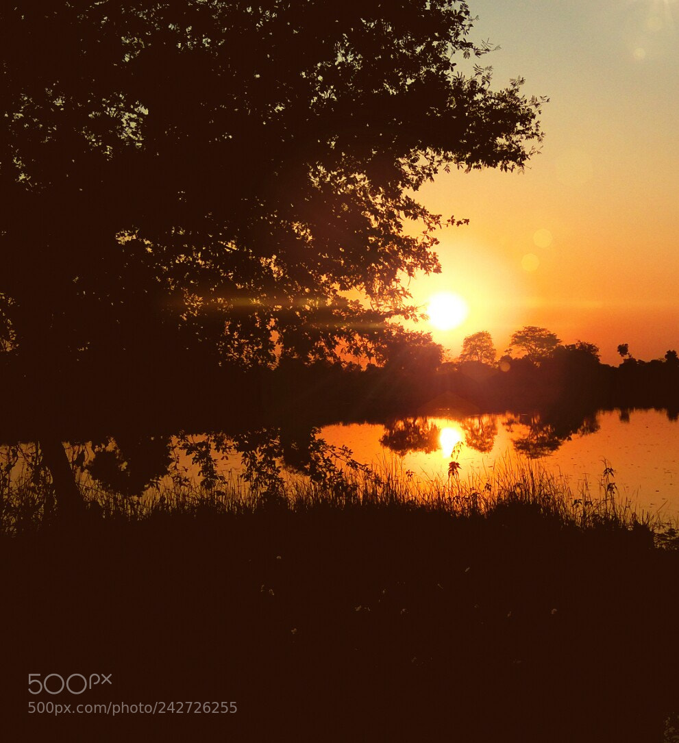Xiaomi Redmi Note3 sample photo. Picsart photography