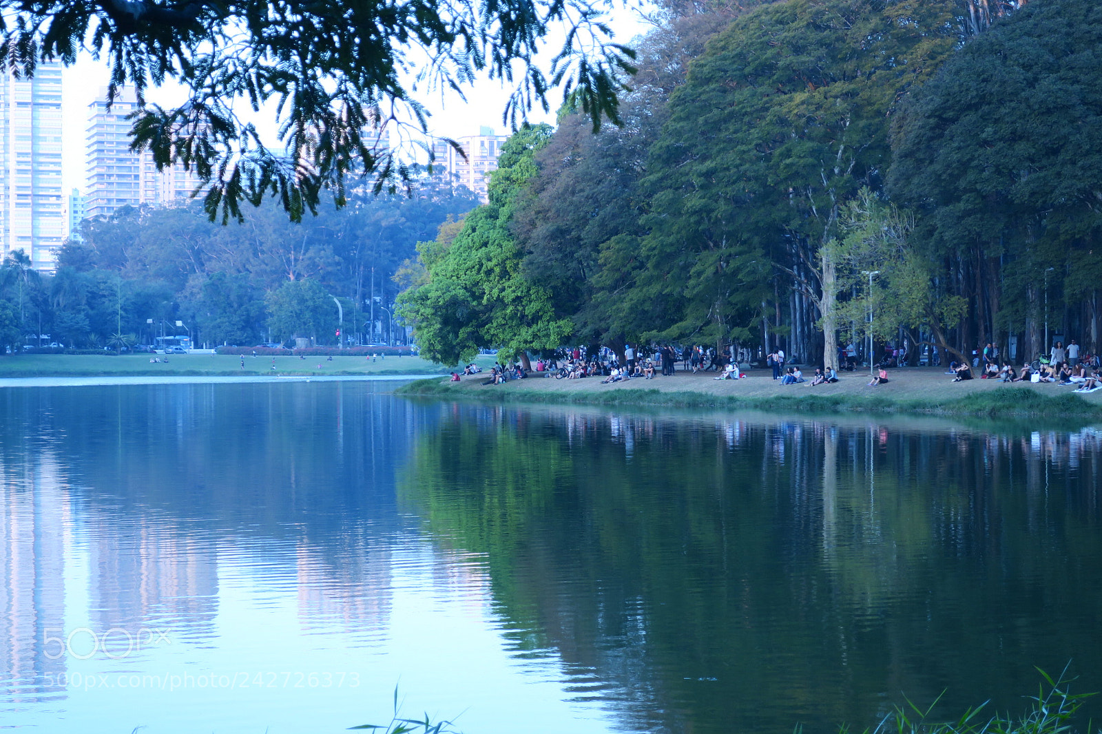 Canon PowerShot G9 X sample photo. Ibirapuera photography