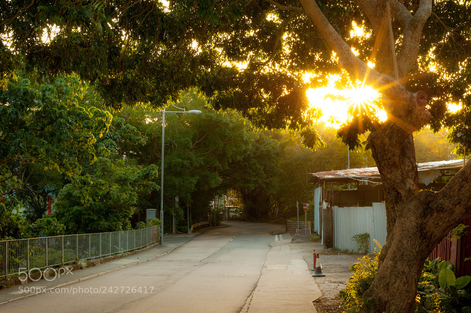 Nikon D700 sample photo. Sunset photography