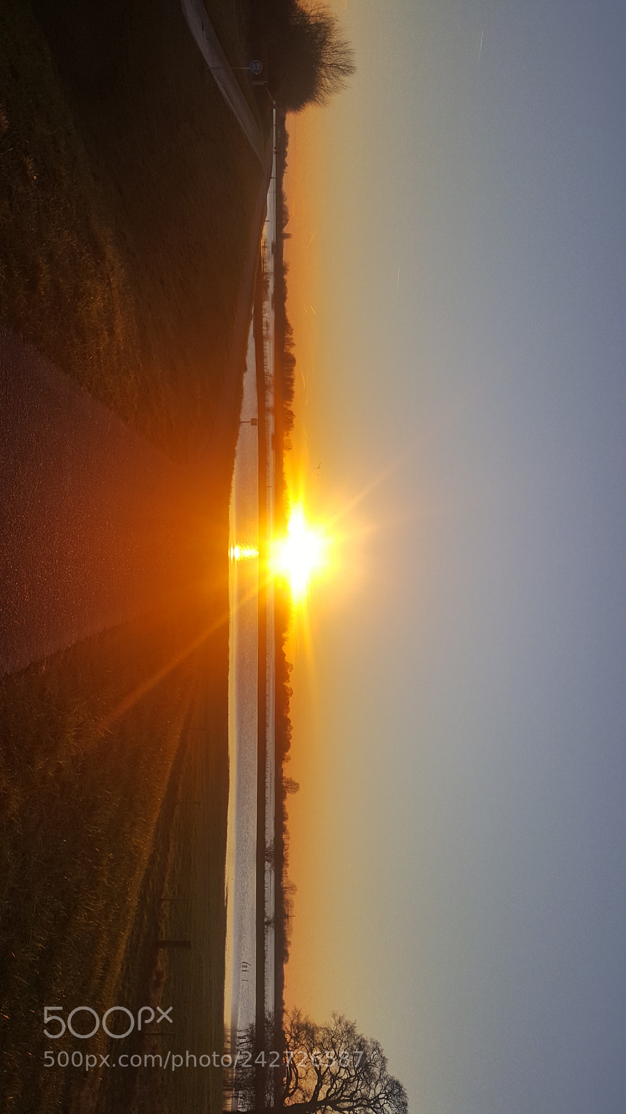 Samsung Galaxy S6 sample photo. Untitled photography