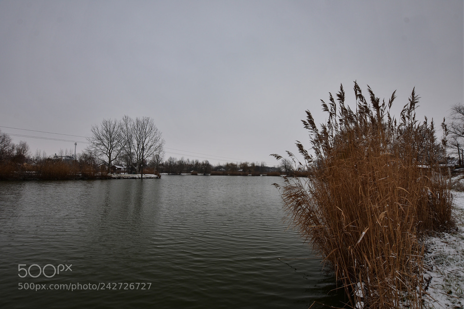 Nikon D7200 sample photo. Untitled photography