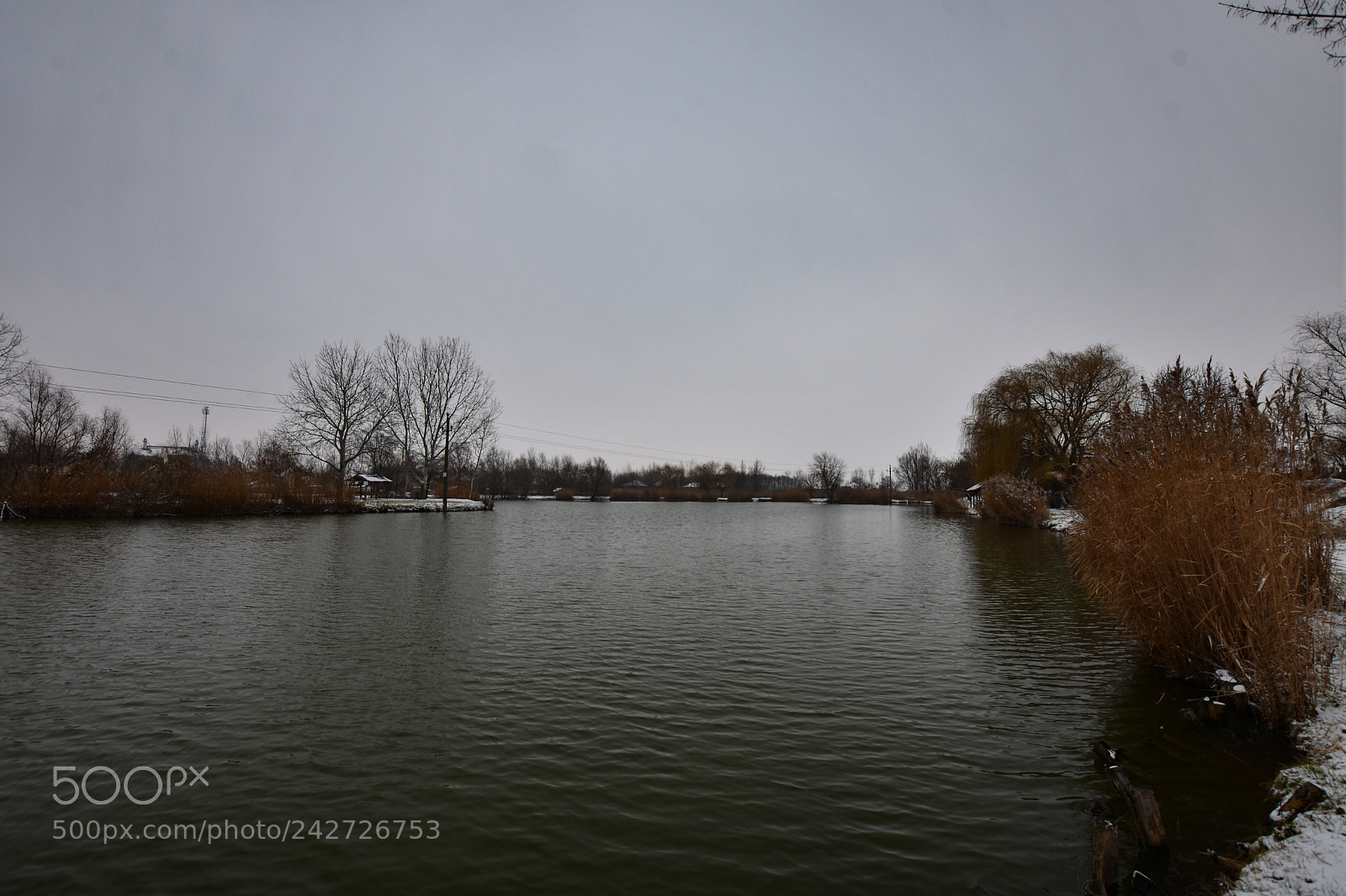Nikon D7200 sample photo. Untitled photography