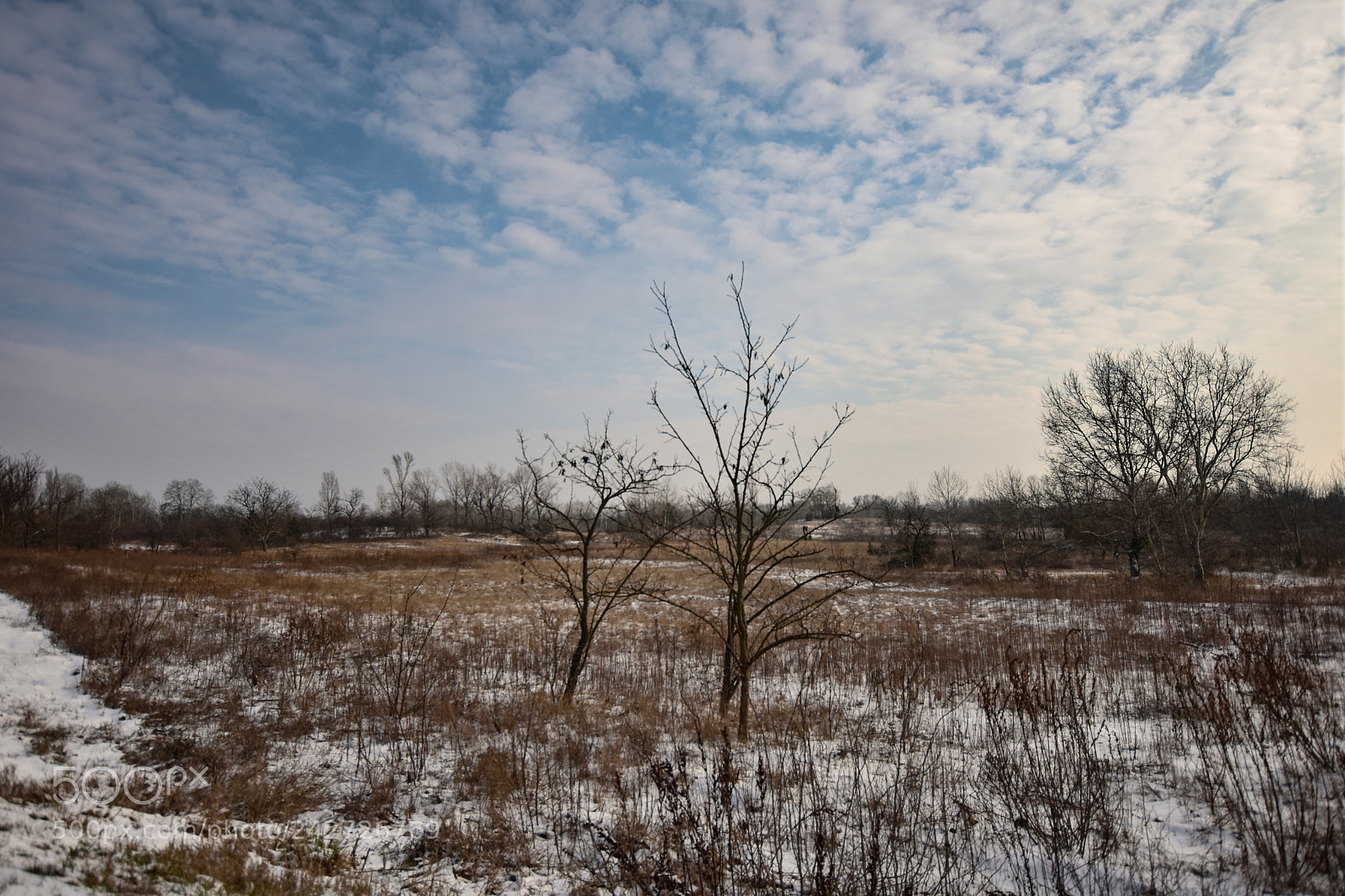 Nikon D7200 sample photo. Untitled photography