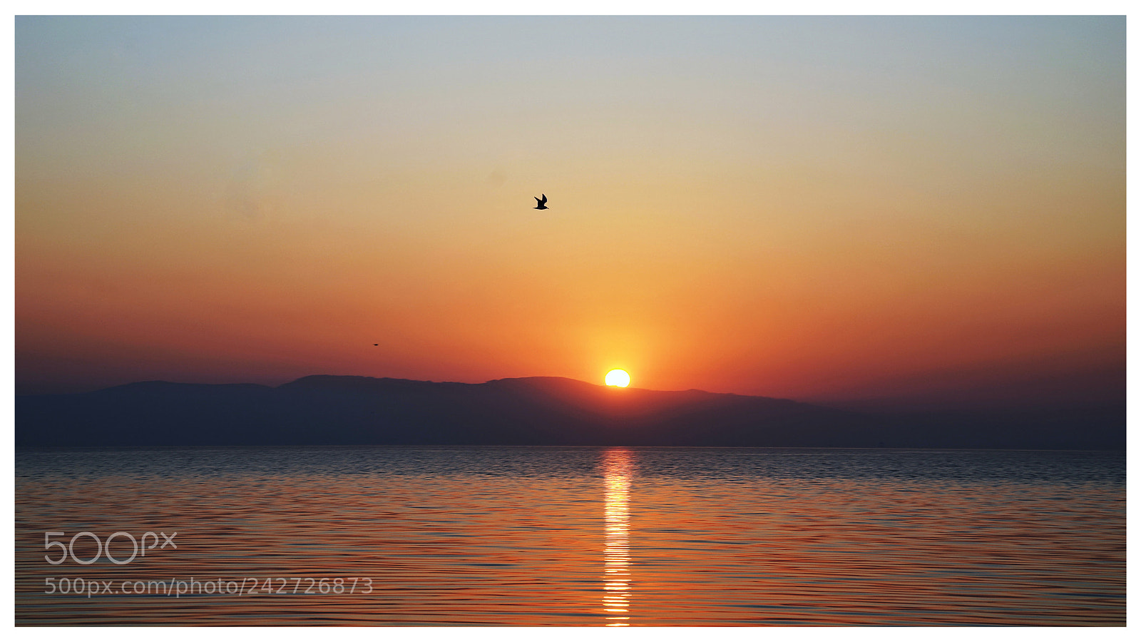 Sony a7R III sample photo. Untitled photography