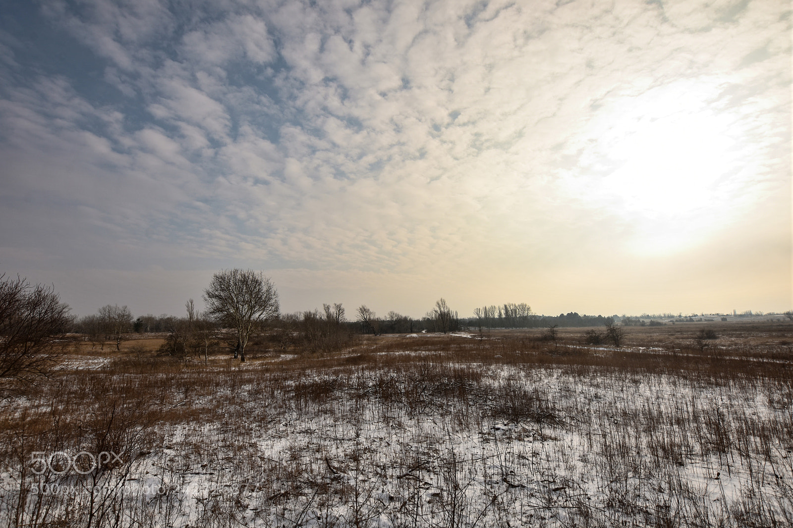 Nikon D7200 sample photo. Untitled photography