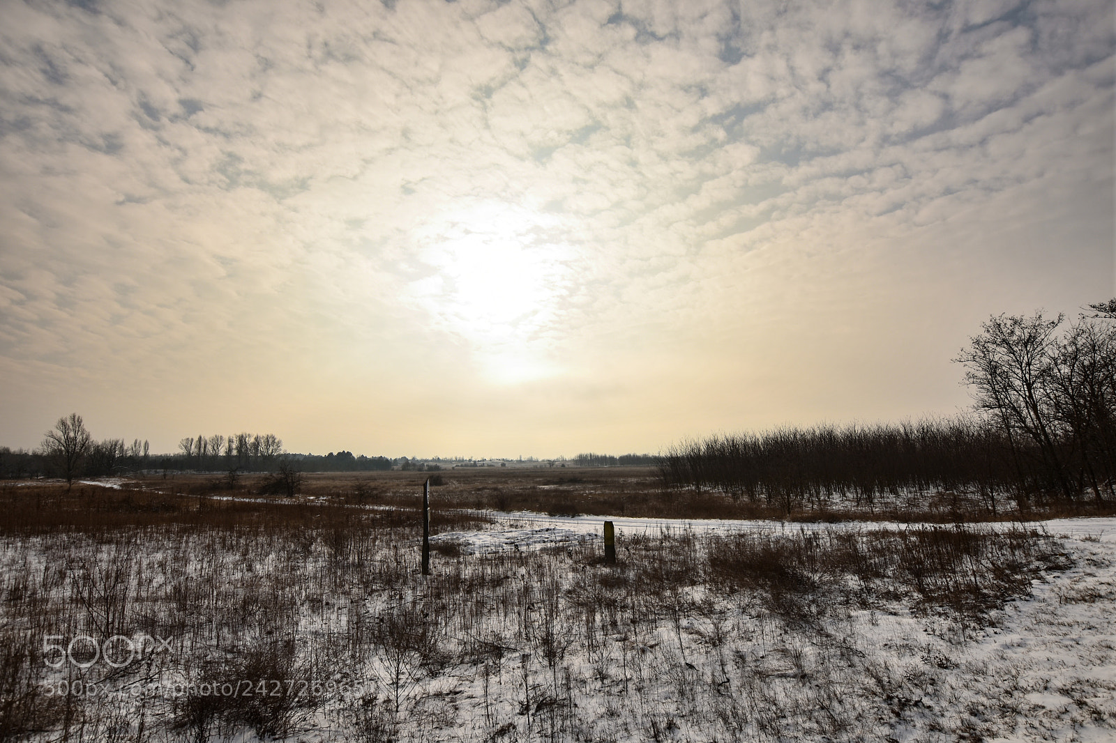 Nikon D7200 sample photo. Untitled photography