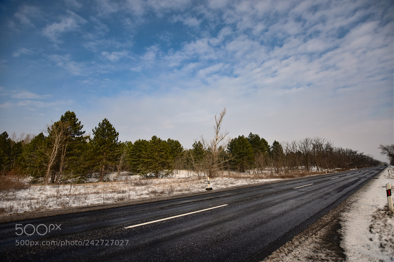 Nikon D7200 sample photo. Untitled photography