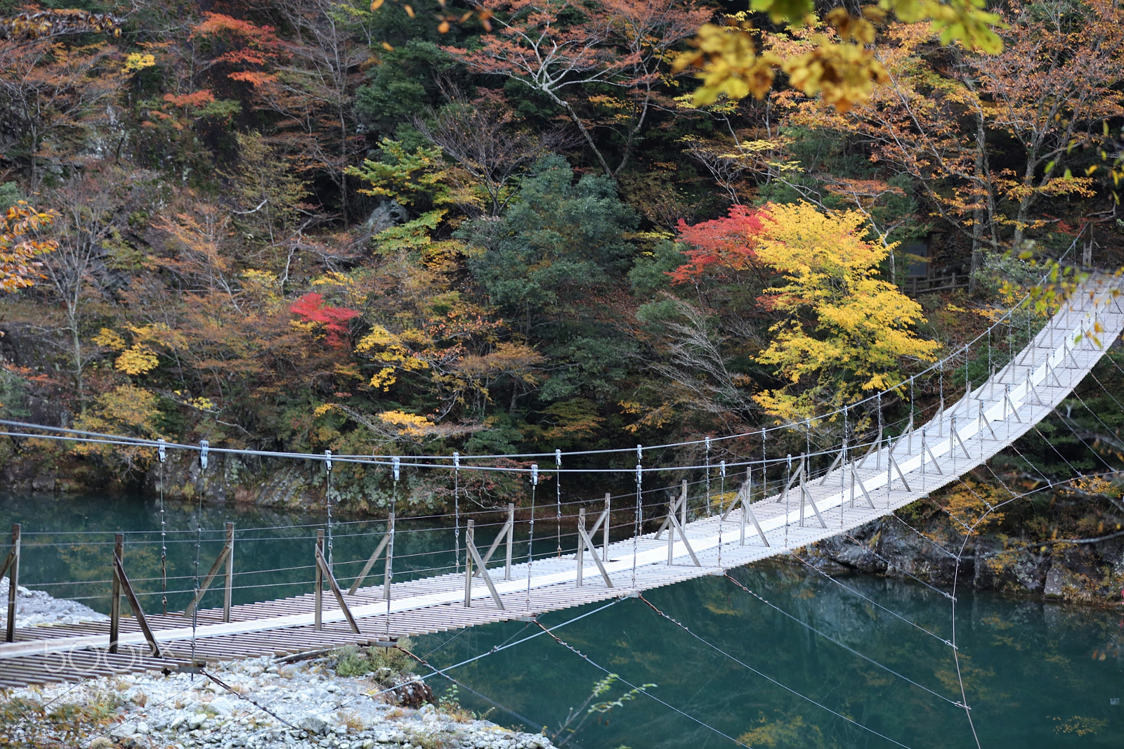 Canon EOS 5DS R sample photo. 寸又峽溫泉夢之吊橋 photography
