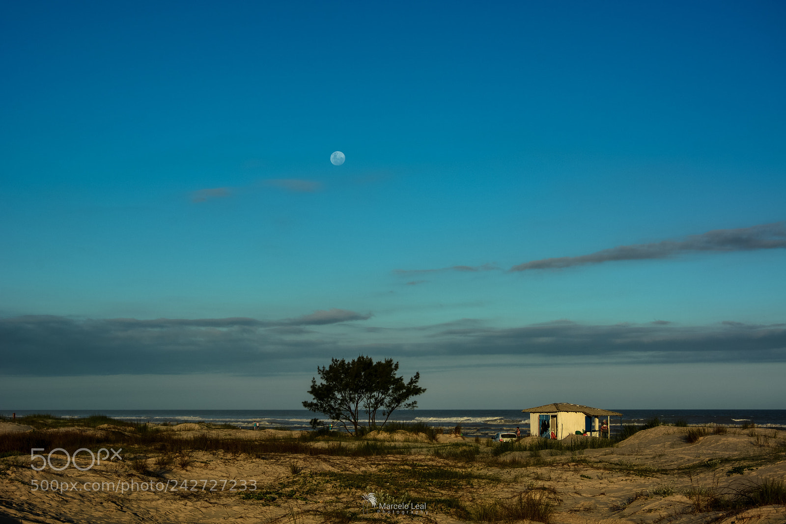 Nikon D7100 sample photo. Fragments of nature - 2 photography